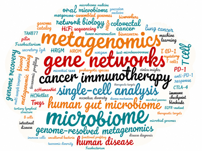 Word Cloud from Abstraction below publications