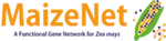 Maizenet logo 4th.png