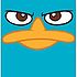 Perry.jpg