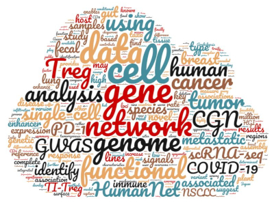 Word Cloud from Abstraction below publications